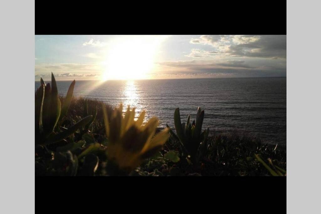 세심브라 A Casa Da Foz Moradia Com Vista Mar 빌라 외부 사진